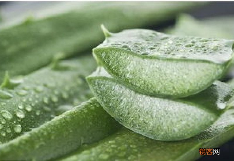 芦荟加维生素e的功效