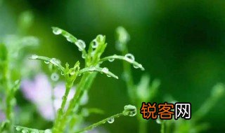 春分雨水是什么意思 春分雨水意思是什么