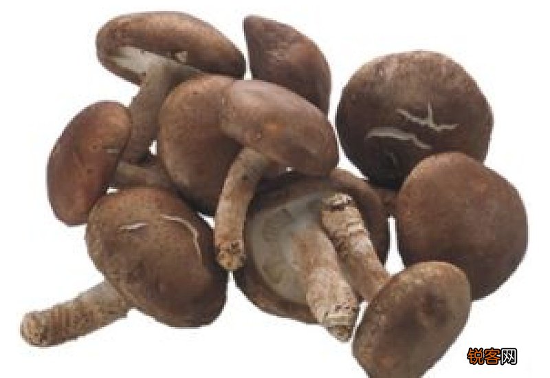 香菇菌褶发黑还能吃吗