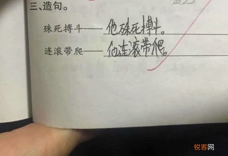 用油光可鉴造句,用油光可鉴写一句话