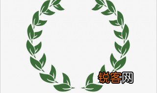 橄榄枝的象征意义是什么 橄榄枝有啥寓意