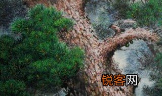 青松象征的意义是什么 青松象征什么意义