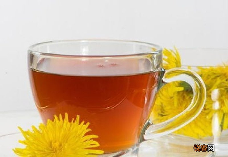 蒲公英可以和红枣一起泡水喝吗