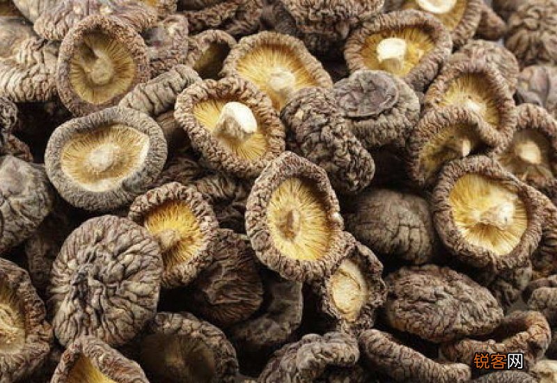 香菇有什么营养和功效