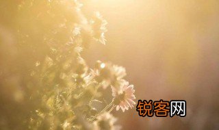 薄凉和凉薄分别是什么意思 薄凉和凉薄简单释义