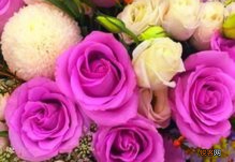 买的鲜花花束怎么保持时间久一点