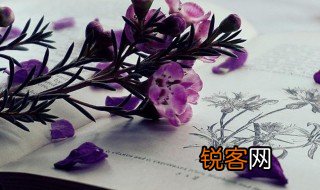 百花争妍是什么意思 百花争妍解释