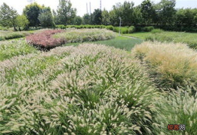 上海迁户口需要什么手续 上海迁户口需要什么手续流程2021