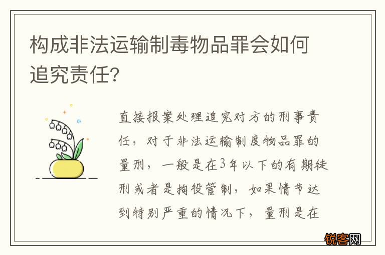 构成非法运输制毒物品罪会如何追究责任?