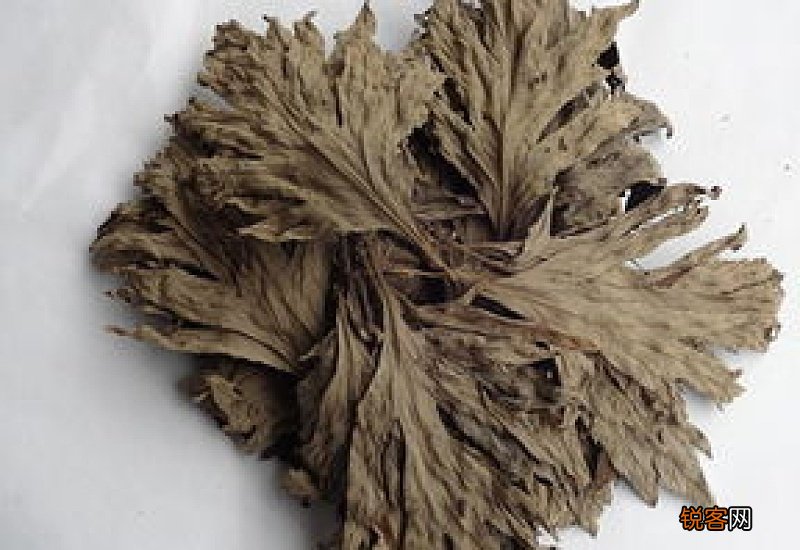 艾草枕头可以长期用吗