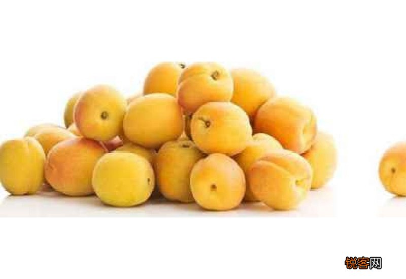 杏和黄桃有什么区别