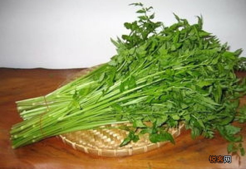 水芹菜有什么功效？水芹菜的功效与作用