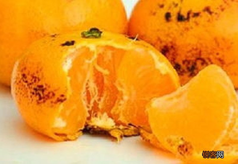 烤橘子对感冒有好处吗