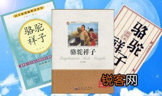 骆驼祥子祥子前后变化的摘抄 骆驼祥子祥子前后变化的誊抄