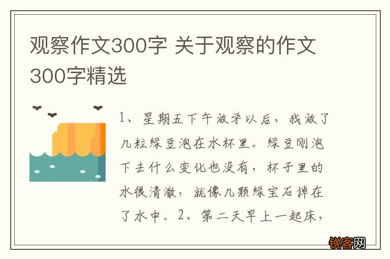观察作文300字 关于观察的作文300字精选