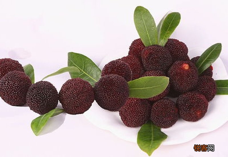 杨梅怎样保存时间长又新鲜