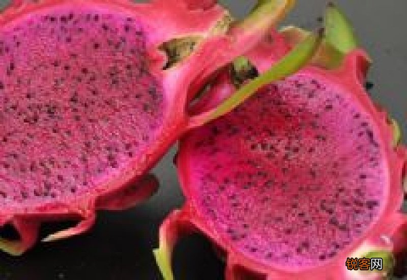 火龙果可以和香蕉一起榨汁吗