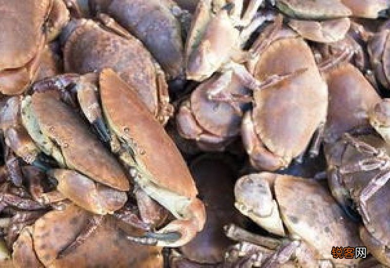 嘴巴上火能吃海鲜吗