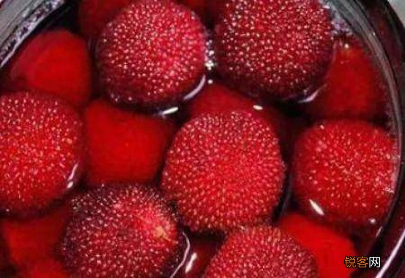 杨梅泡酒有什么功效能保存多久