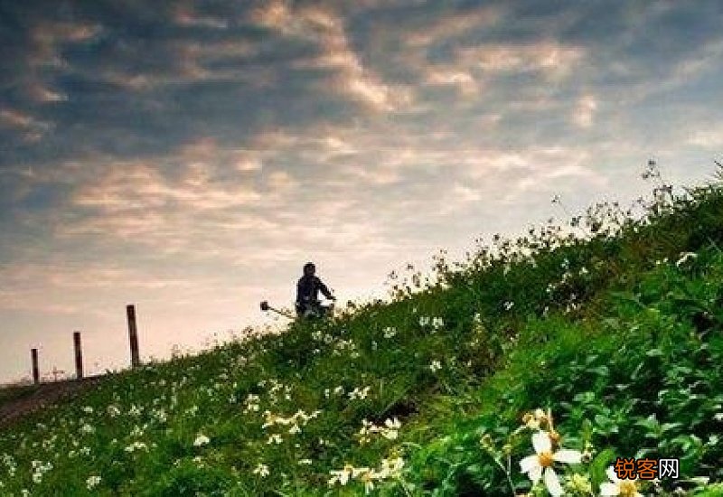 我最难忘的一天作文开头和结尾