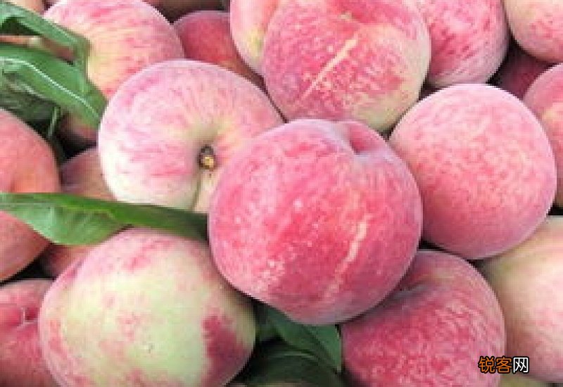 水蜜桃的营养价值有哪些 水蜜桃有什么营养