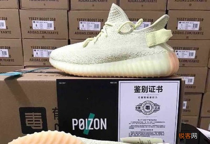 椰子700和350尺码一样吗