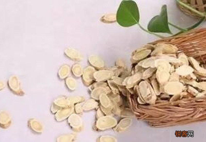 黄芪为什么春天不能喝