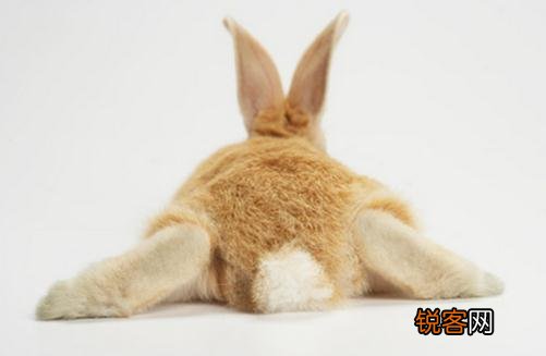 阴险小人面相,认准了什么生肖 阴险小人面相，认准了