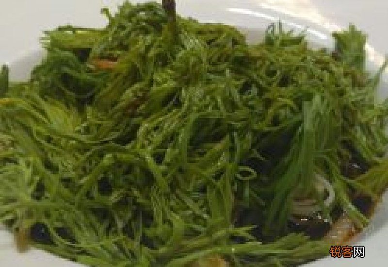 牛茴香肉可以一起吃吗