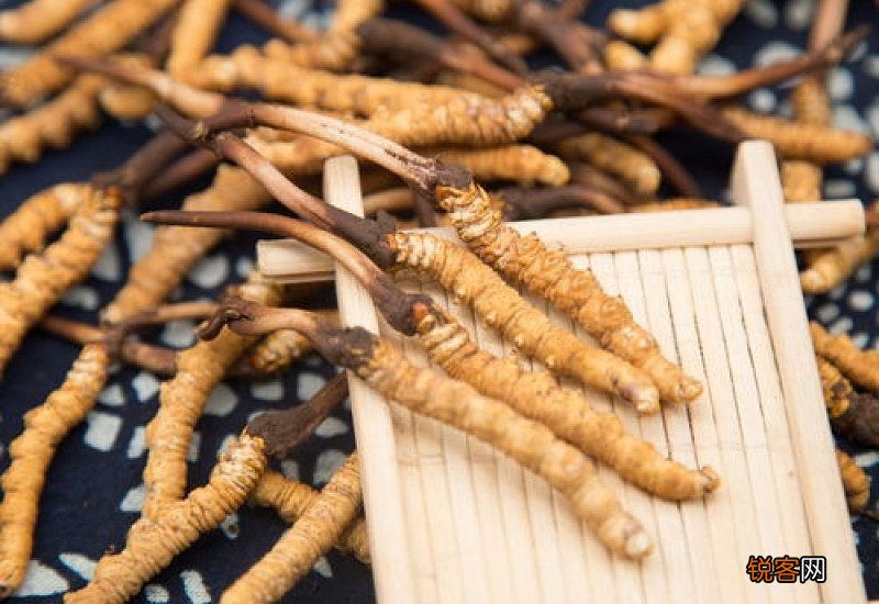 打了新冠疫苗可以吃花甲吗