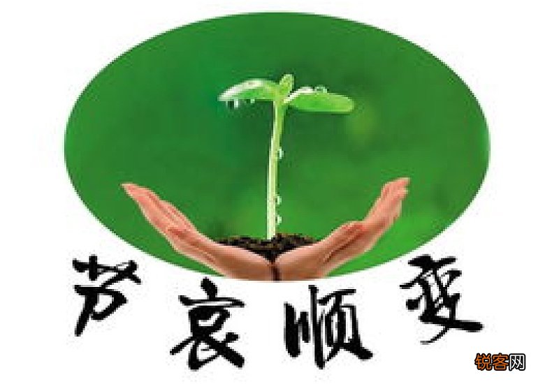 用节哀顺变造句,用节哀顺变写一句话