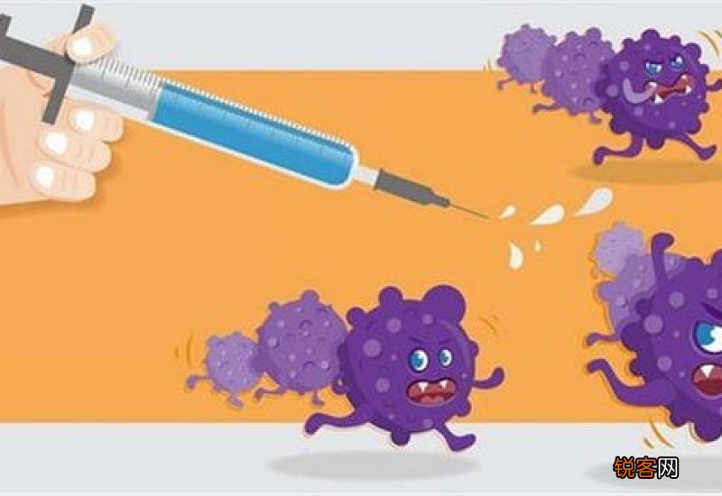 打新冠疫苗可以吃香菜吗