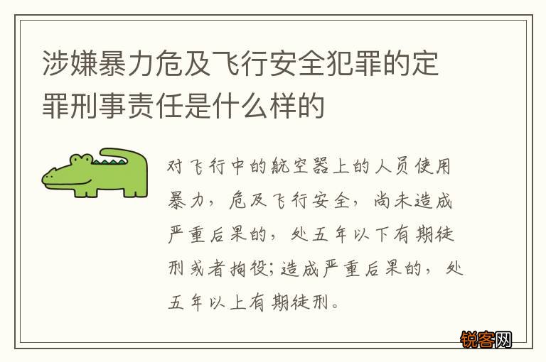 涉嫌暴力危及飞行安全犯罪的定罪刑事责任是什么样的