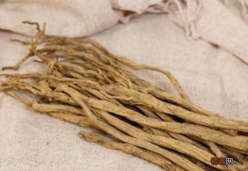 丹参和西洋参能一起泡水喝吗