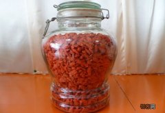 杨梅可以和枸杞子一起泡酒吗