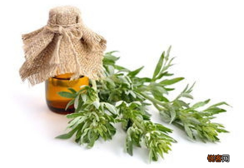 艾叶泡脚去湿气吗