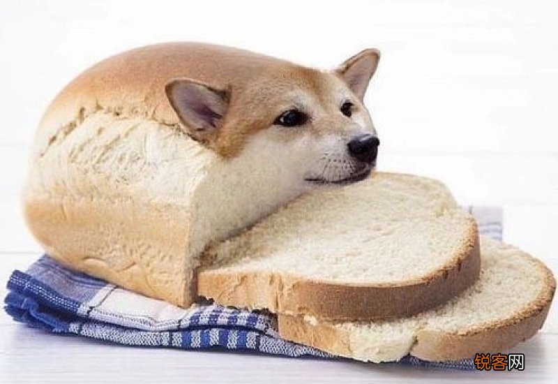 狗吃面包没事吧