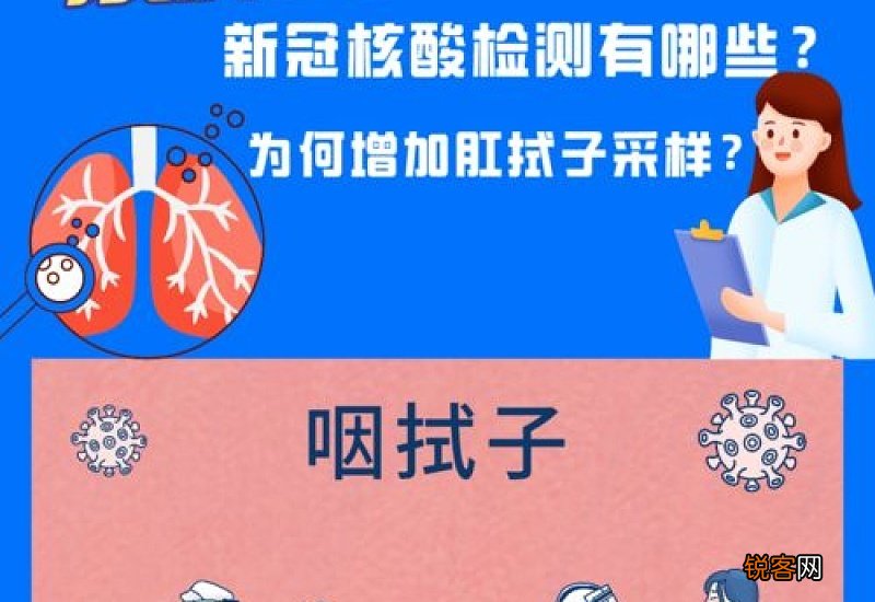 肛拭子采样的流程是什么