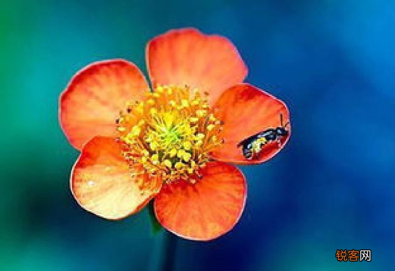 惊蛰节气推拿的好处