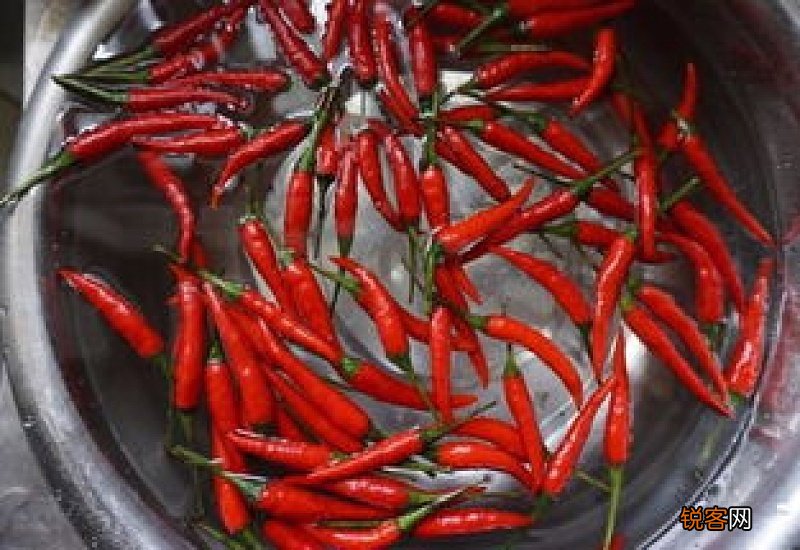 新鲜小米椒怎么长时间保存