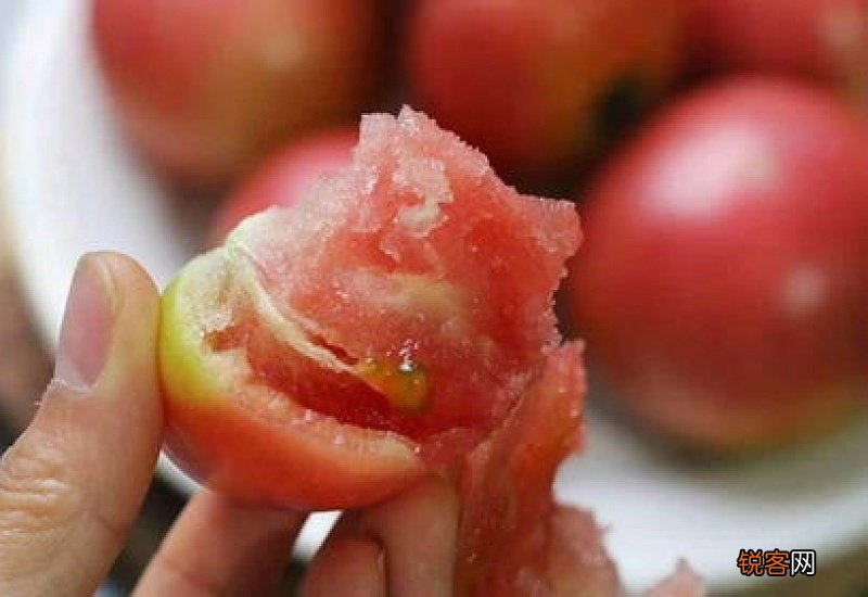 草莓柿子和普通柿子有什么区别