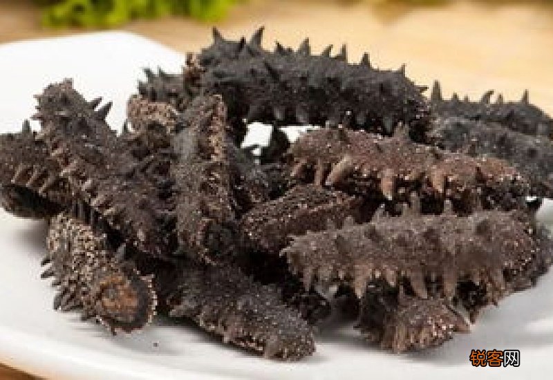 海参为什么不鲜着冰起来