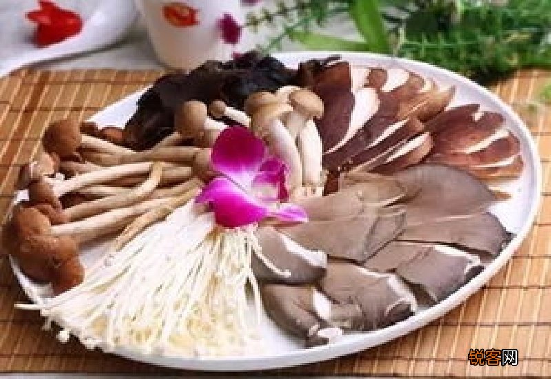 干蒸去除体内湿气吗