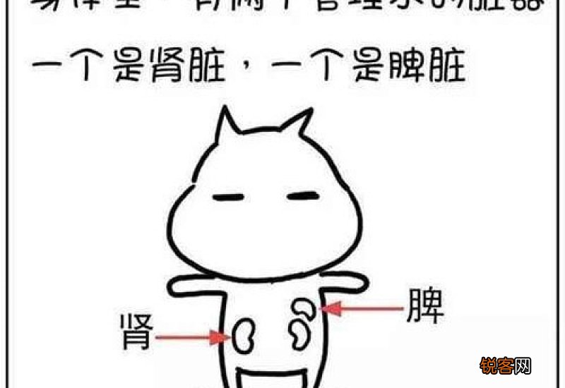 人身上的湿气跟天气有关系吗