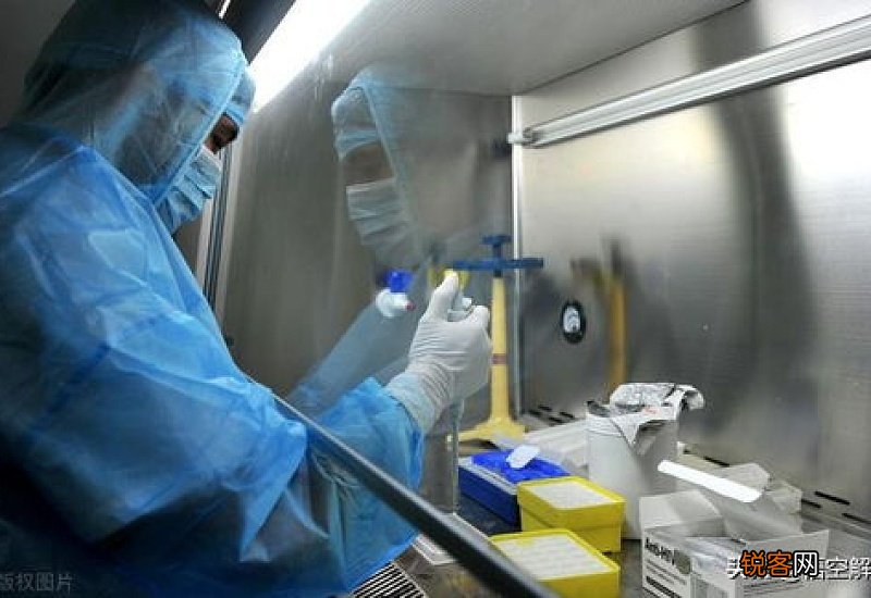 自己开车回家要做核酸检测吗