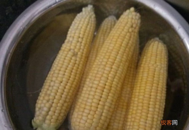 玉米棒子煮多久能熟