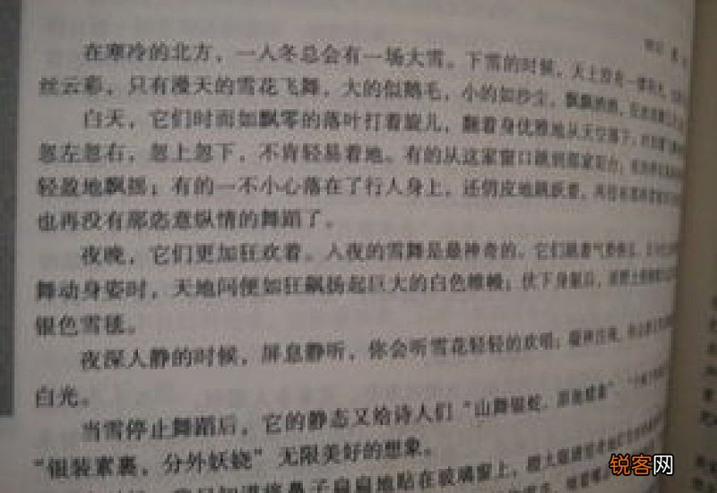 青春的名义九年级作文600字