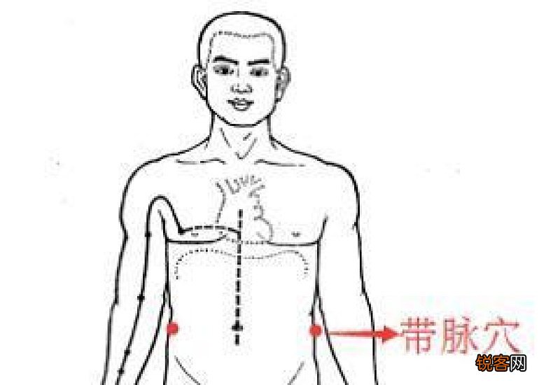 带脉的位置在哪里