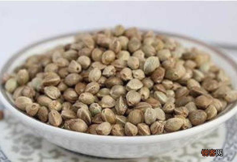 长期服用火麻仁有什么副作用 火麻茶的功效与作用