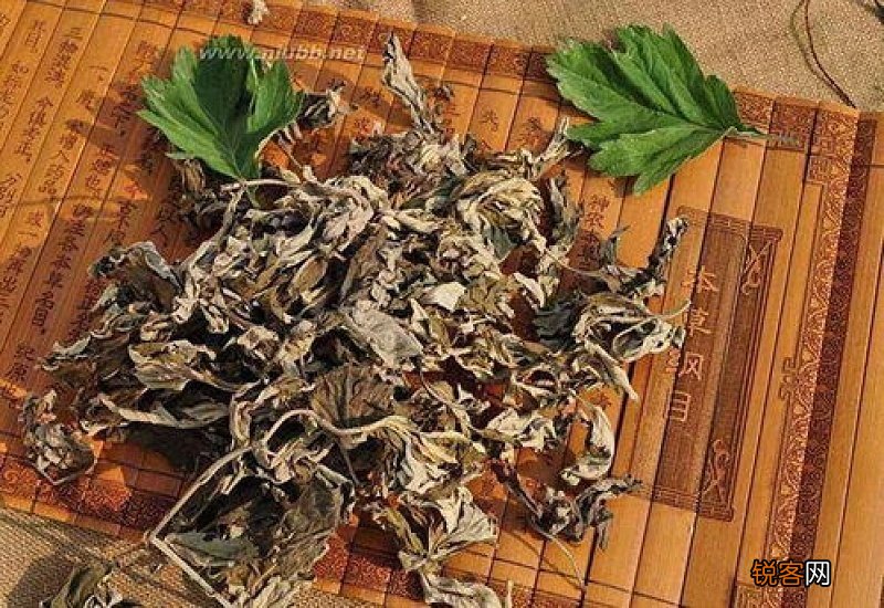 艾草泡脚用新鲜的还是干得好